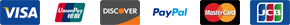 Payments Logo
